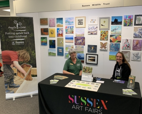 Sussex Art Fairs